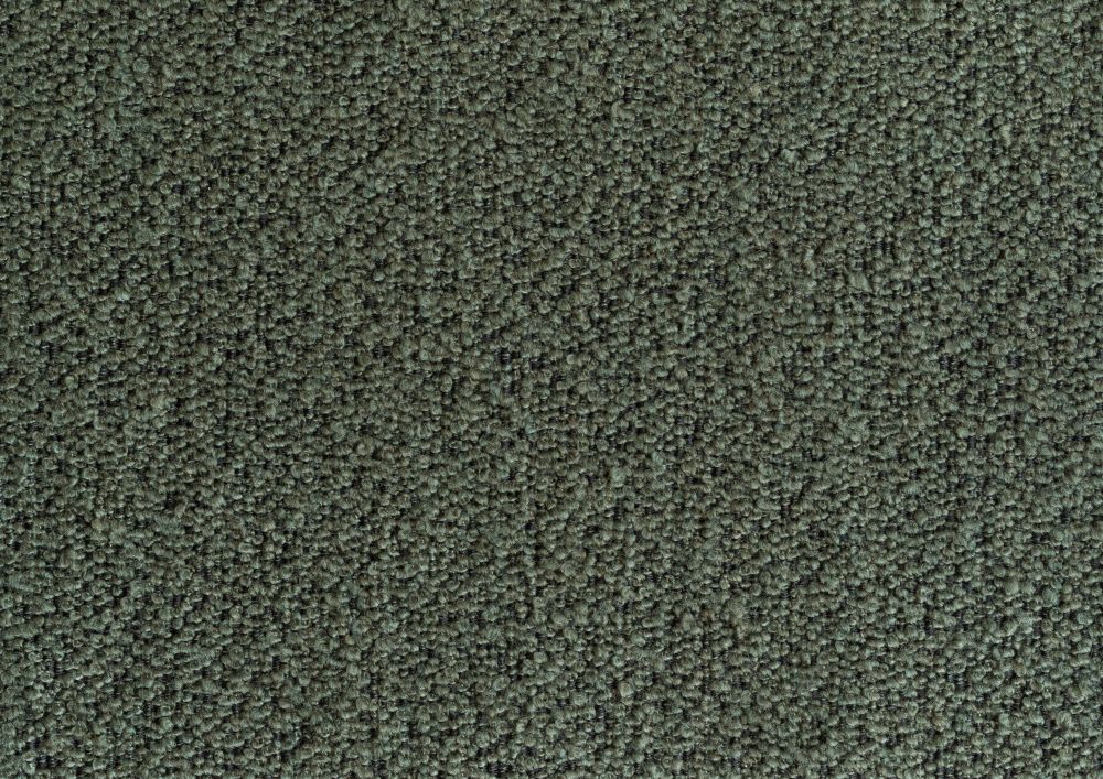 Forest 162
