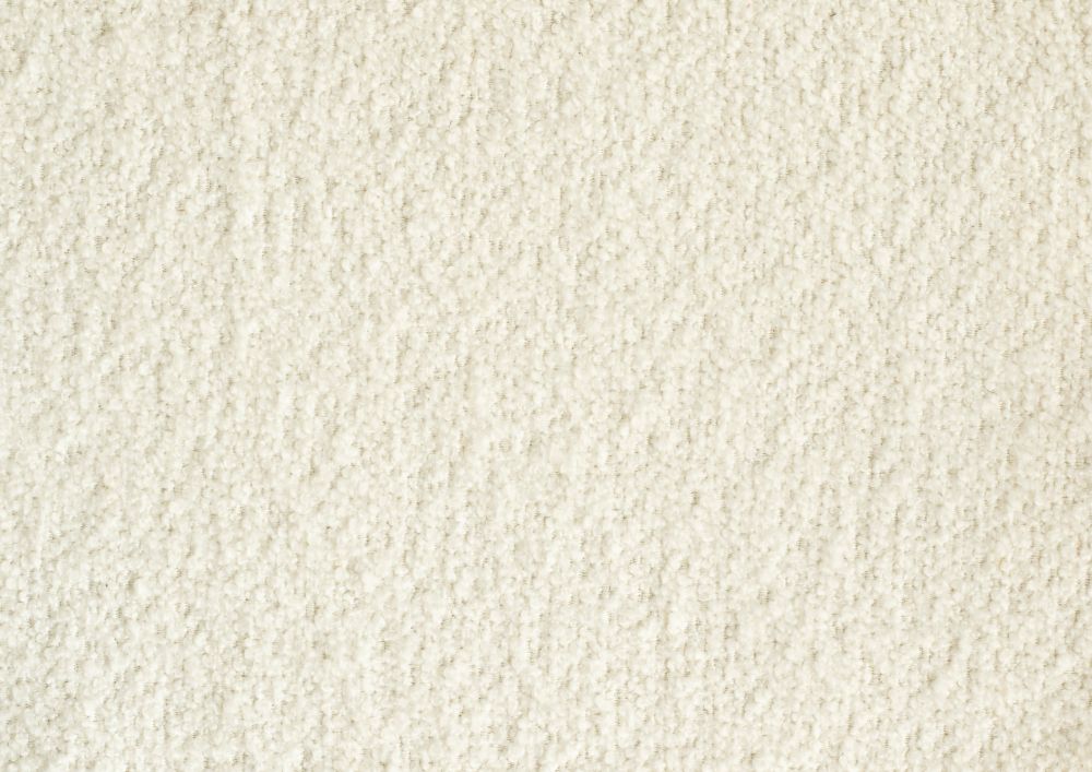Ivory 101