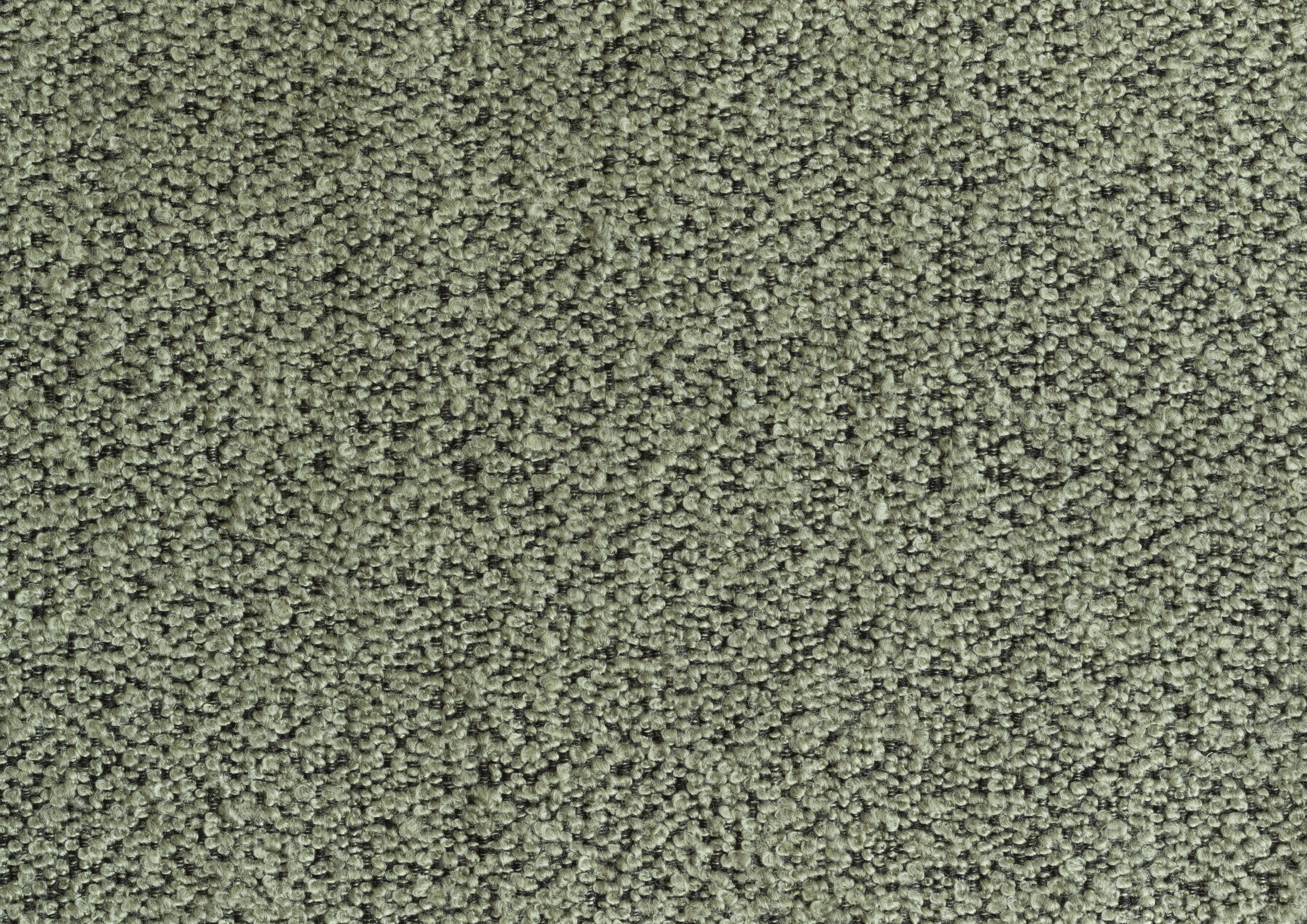 Thyme 206