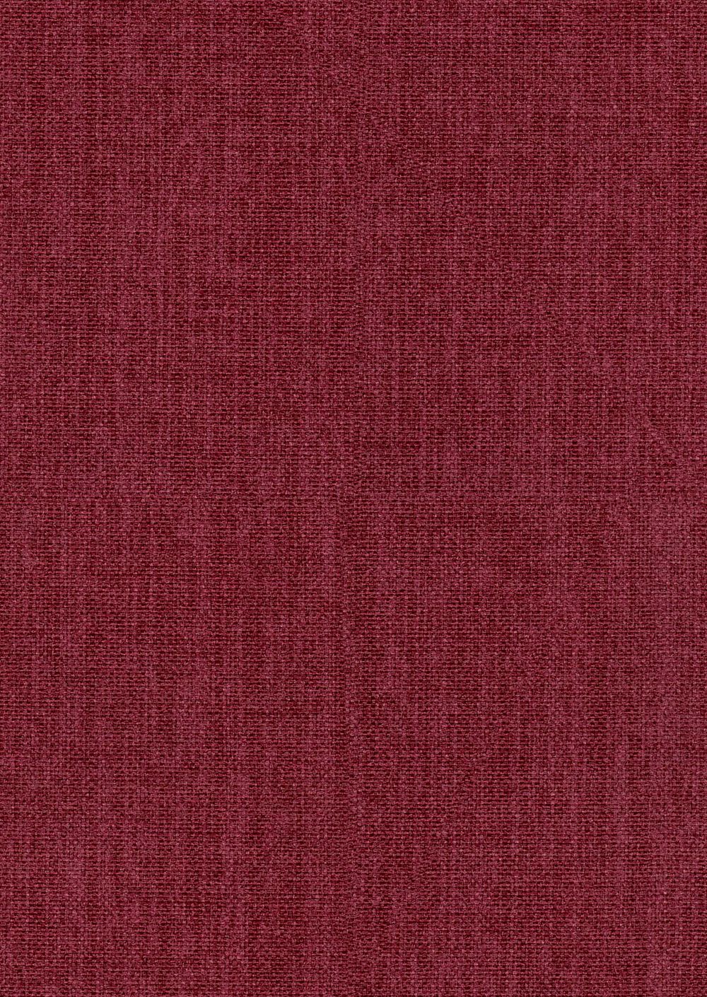 Coral 95