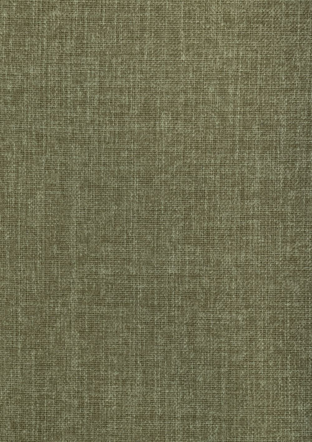 Thyme 206