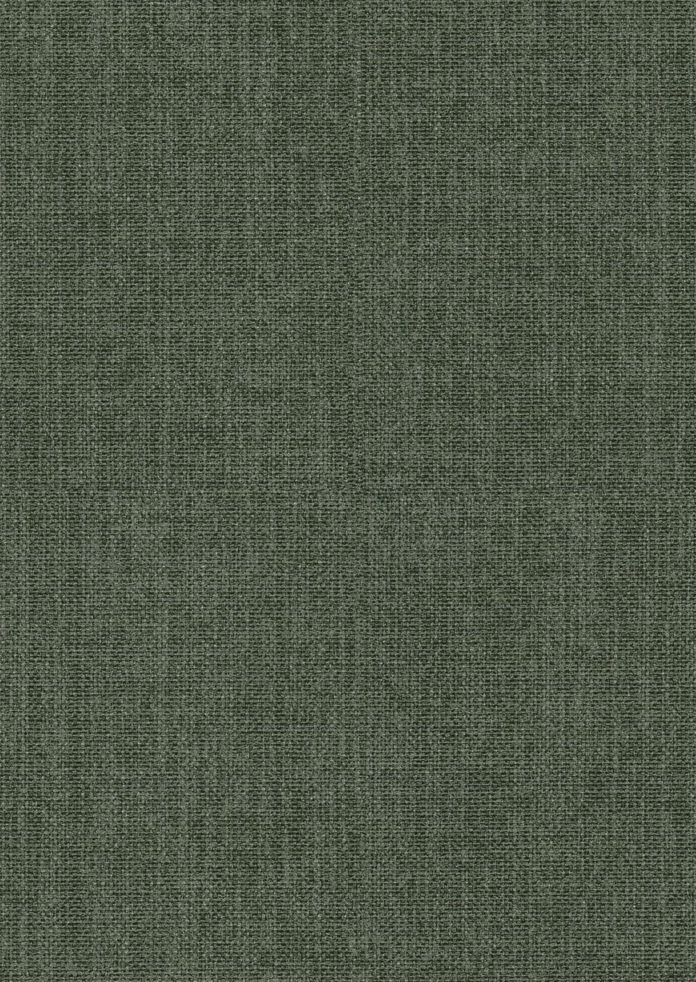 Turtle 88