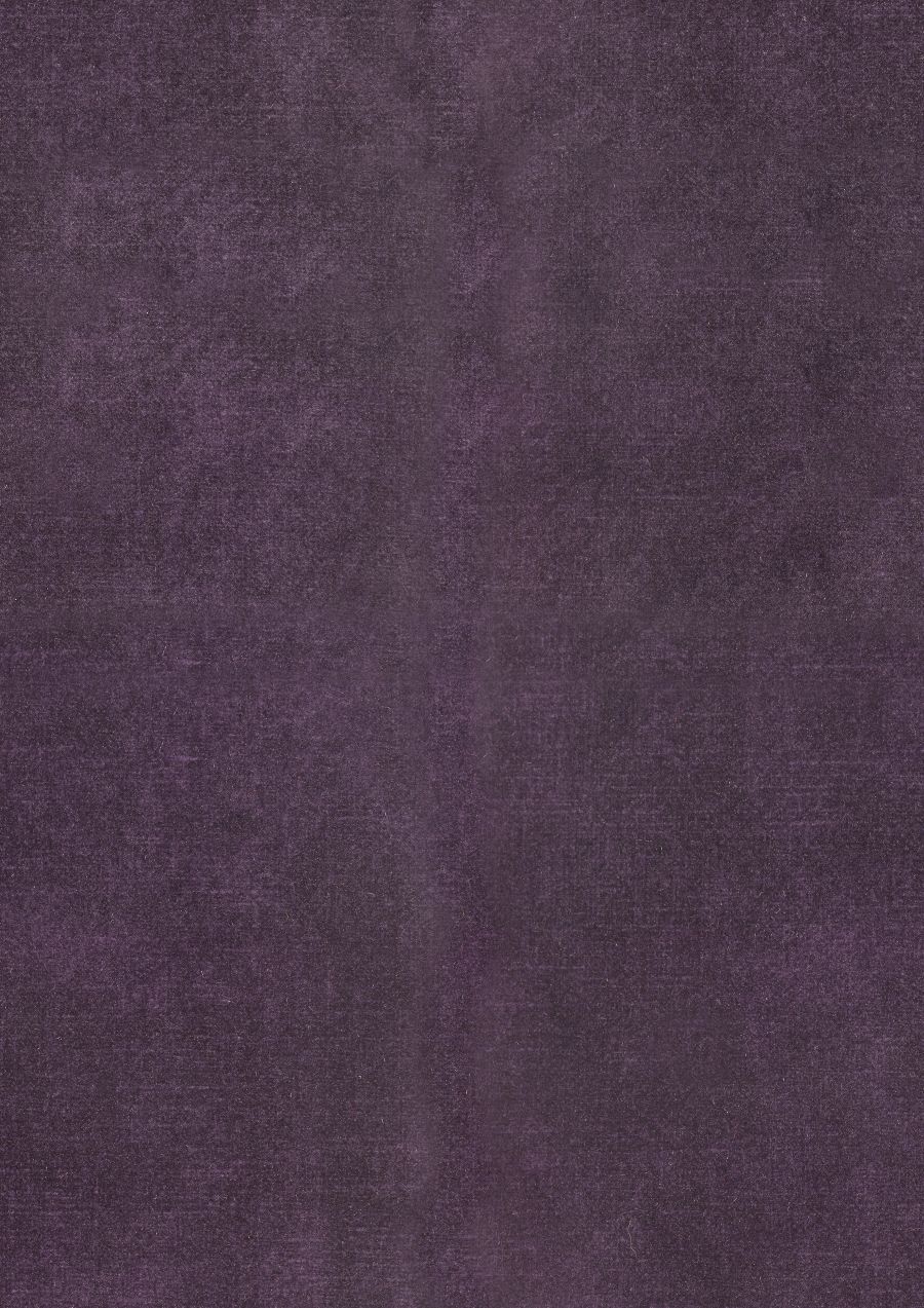 Aubergine 74
