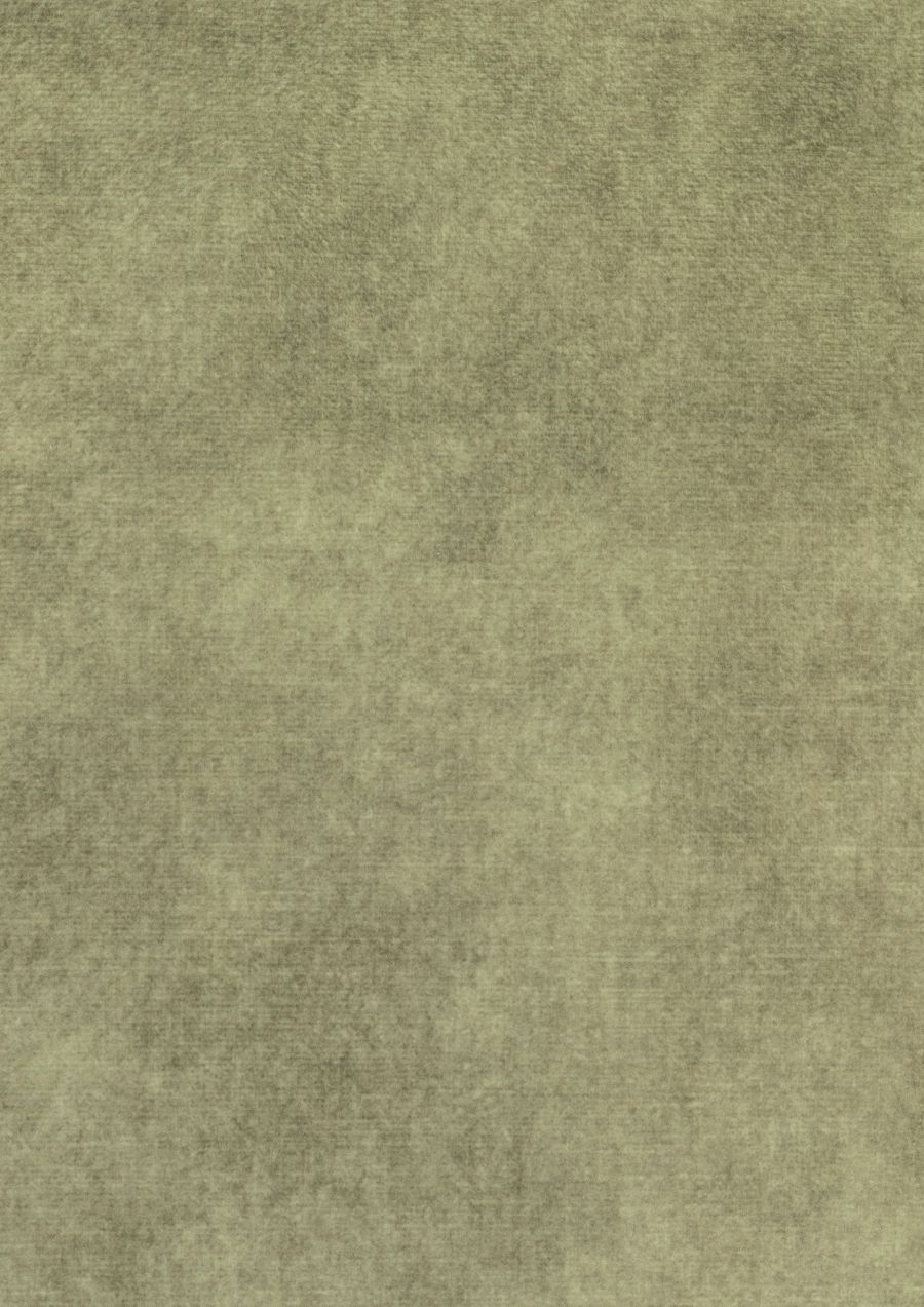 Herb 214