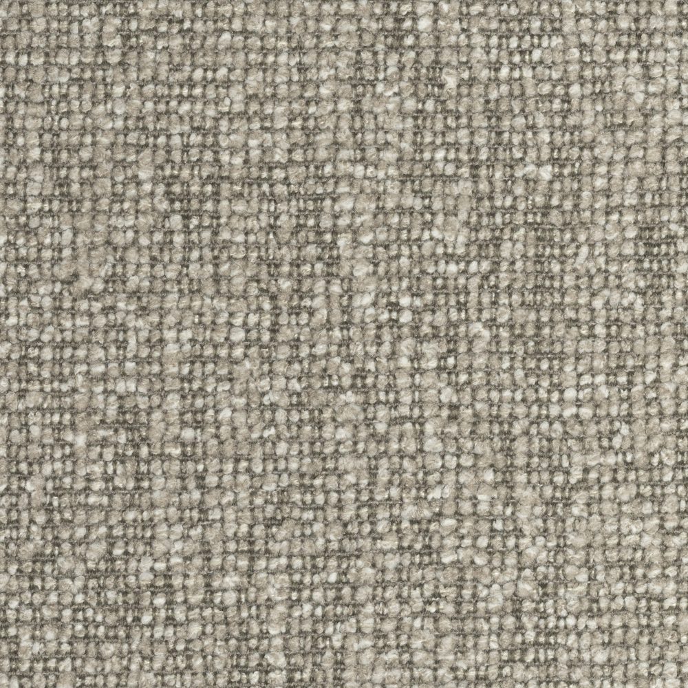 Shitake 124