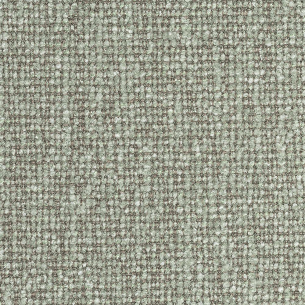 Thyme 206