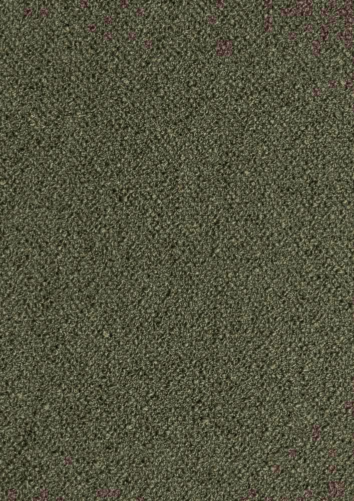 Forest 162